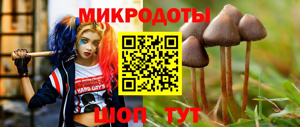 Псилоцибиновые грибы GOLDEN TEACHER  Галлюциногенные грибы мухоморы  Вход с VPN  Вязники 