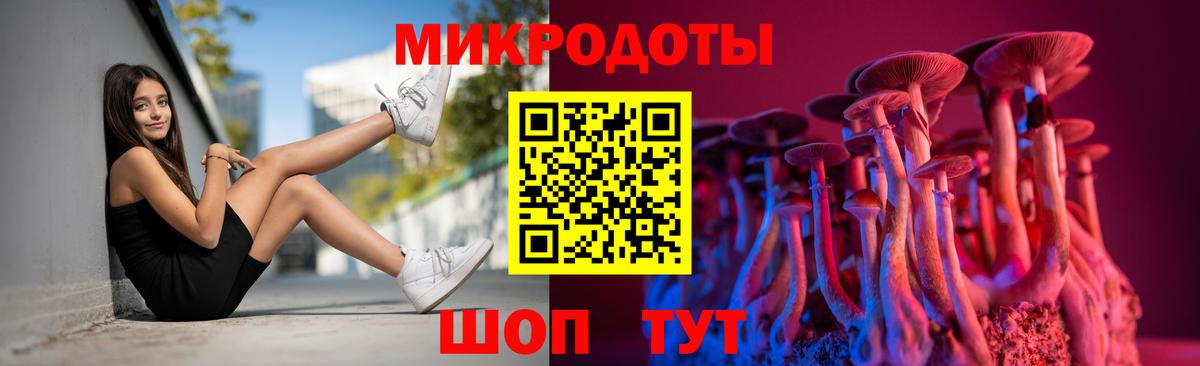 Псилоцибиновые грибы Cubensis Вязники